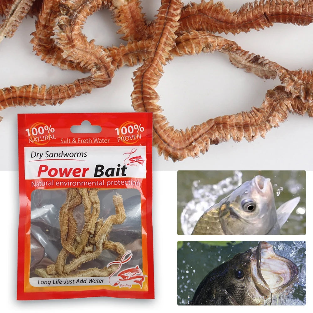 Fishing Bait For Saltwater or Freshwater