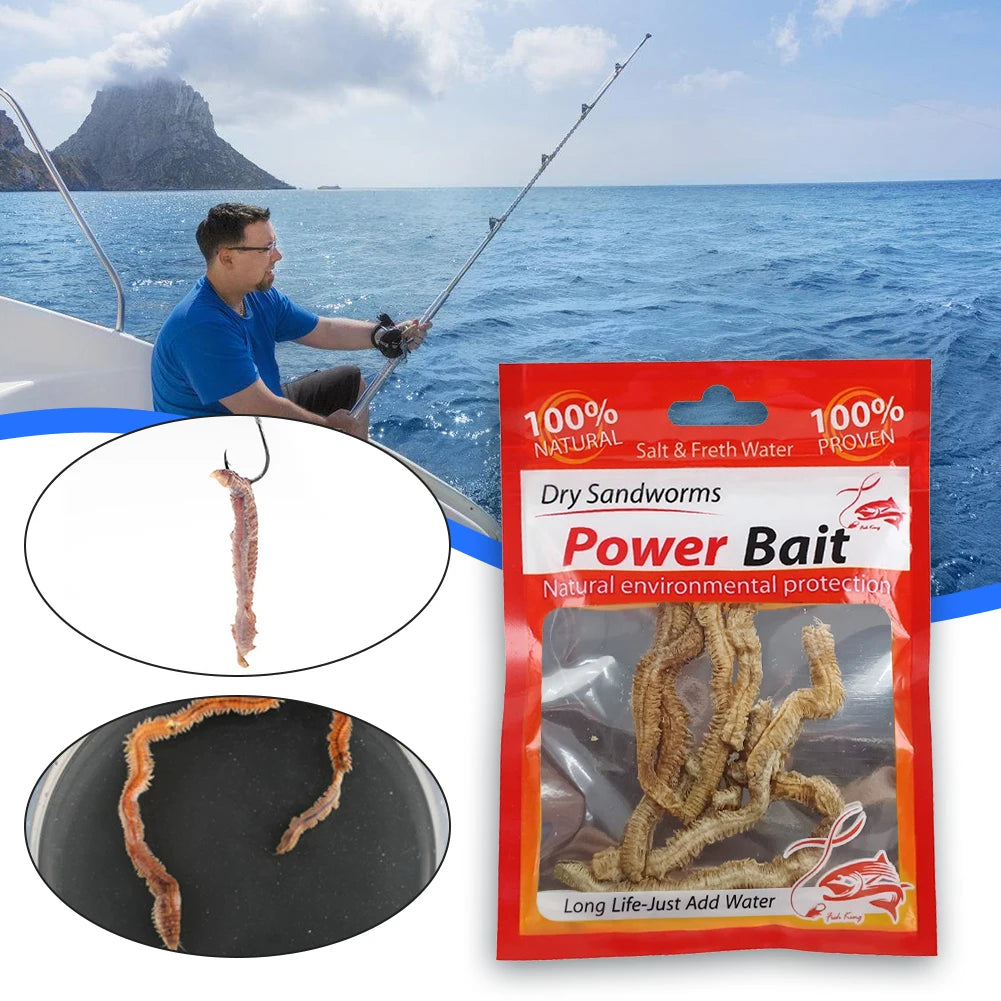 Fishing Bait For Saltwater or Freshwater